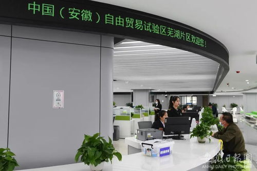 把 安徽經(jīng)驗(yàn) 變成 全國經(jīng)驗(yàn)