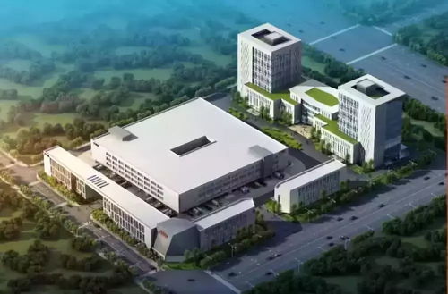 中小徑竹廂板生產(chǎn)線可行性研究報(bào)告通過(guò)